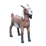 Goat (Medium)