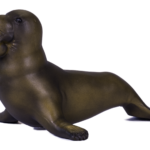 Sea Elephant (Medium)