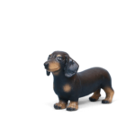 Dachshund (Medium)
