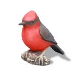 Vermilion Fly Catcher (Medium)