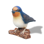 Chilean Swallow (Medium)