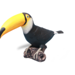 Toco Toucan