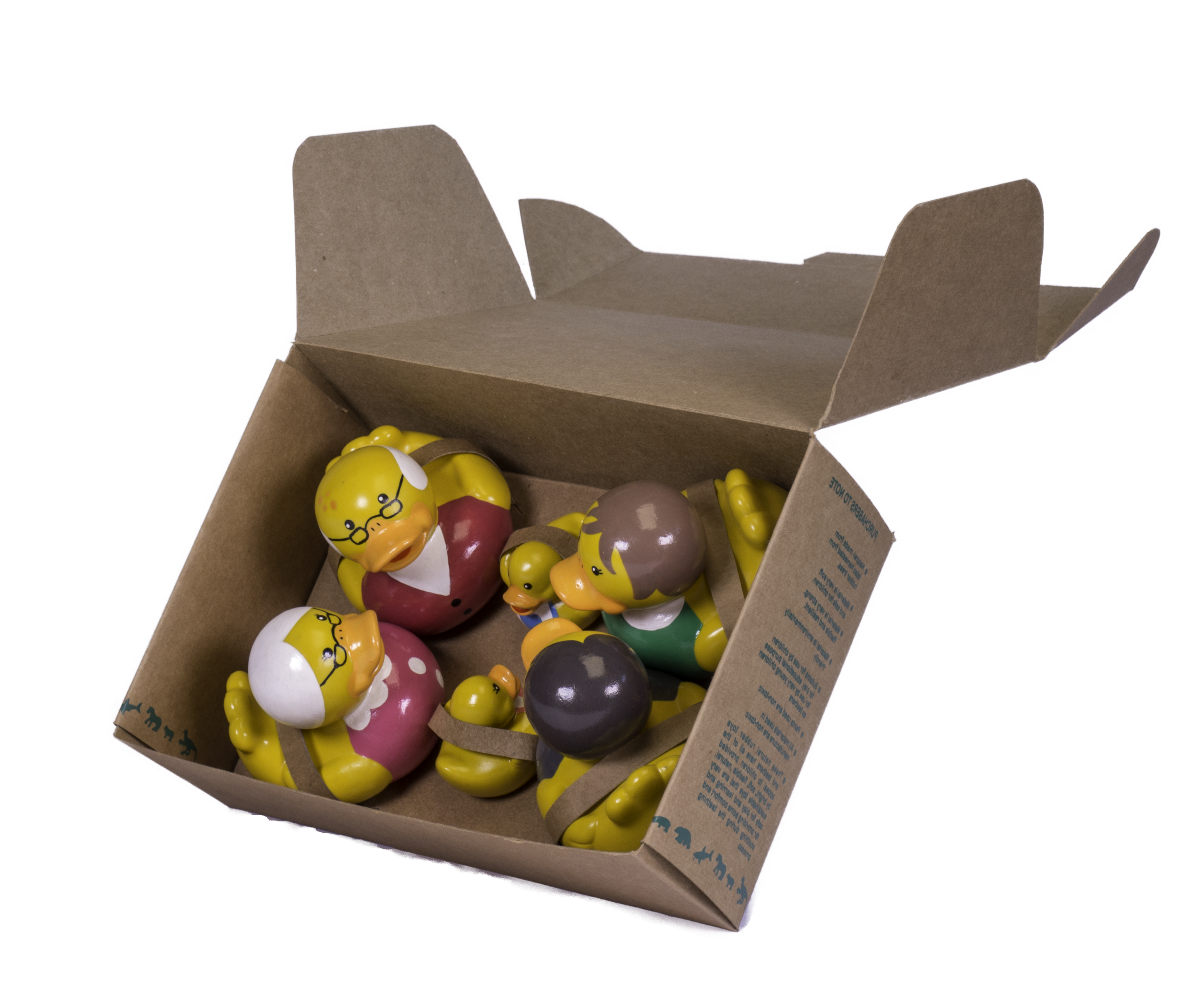 DS3530DKF_Duck_Family with Box Duck Family - Image 1