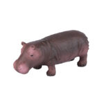Hippopotamus