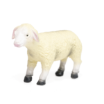 Sheep (Medium)